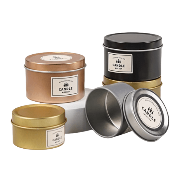 House Shape Coin Tin
