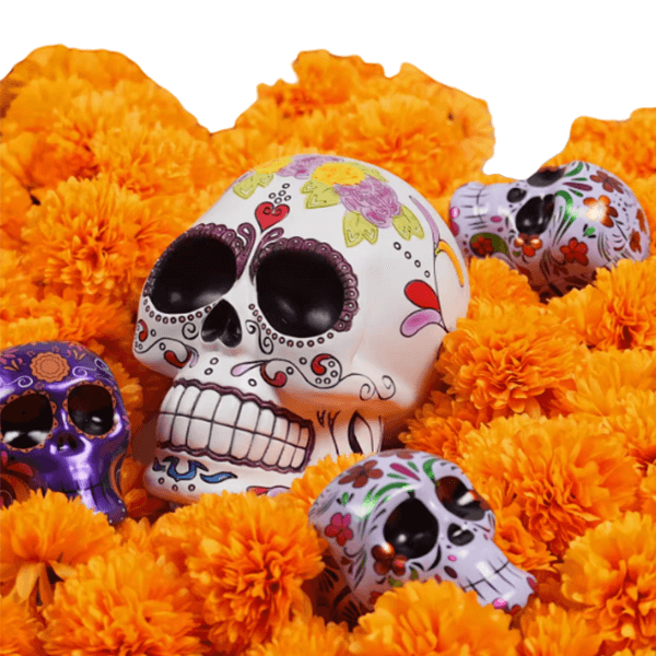 Skull Tin